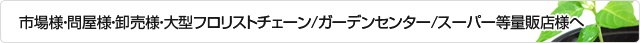 市場様・問屋様・卸売様・大型フロリストチェーン/ガーデンセンター/スーパー等量販店様へ